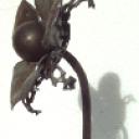 Articles de anne-nuthals